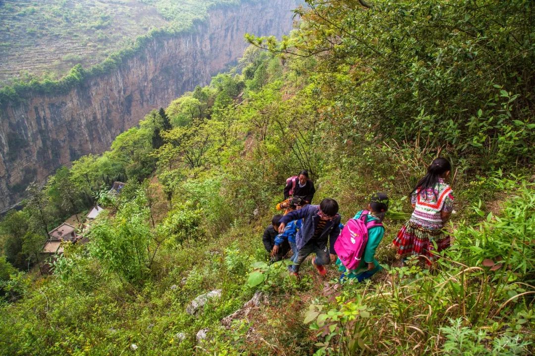 天路:贵州一小学孩子爬4里崖壁上学 教师护送31年