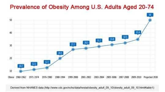 美国人肥胖率再攀历史新高