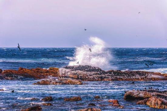 南非好望角海岸（图片来源：摄图网）