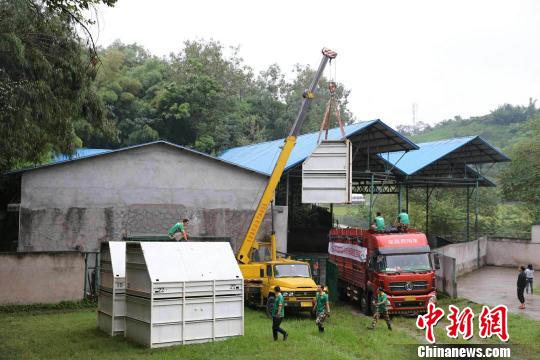 图为装有长颈鹿的集装箱抵达重庆乐和乐都景区。　王成杰 摄