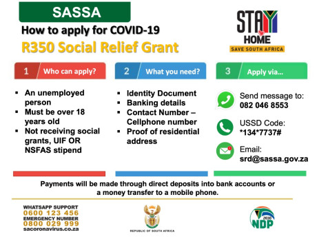 南非社会经济赠款申请正式启动 申请方式及要求须知