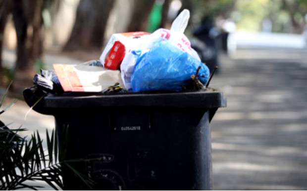 茨瓦尼市承诺在合同失效后继续清理积压的垃圾
