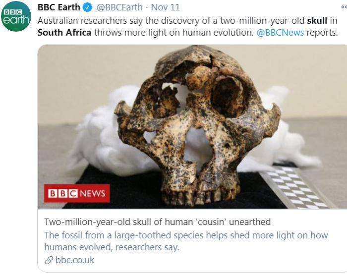 图片来源：BBC地球频道(BBC Earth)社交网站官方账号截图