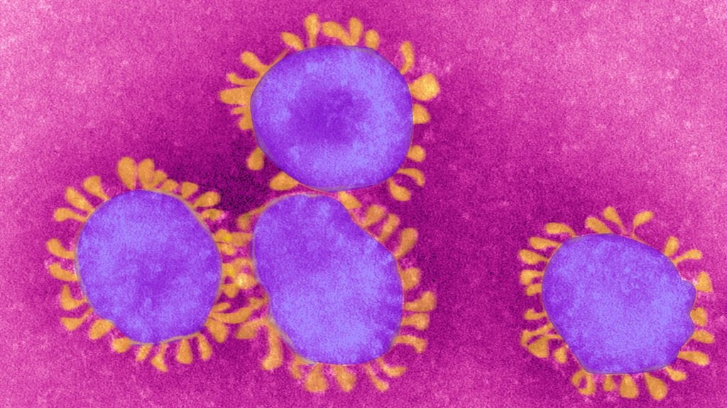 Coronavirus