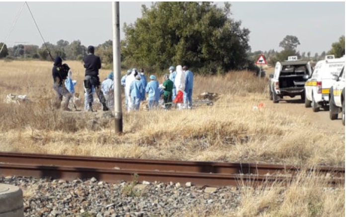 西北省金矿小镇发现20具尸体！南非非法采矿的祸害极其危险