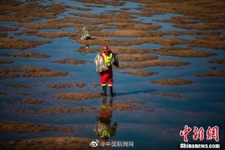 南非自然保护区部分生物死亡 疑与骚乱点燃化学品仓库有关