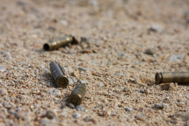 南非再发校园谋杀案！豪登省两名女教师被伙伴枪杀