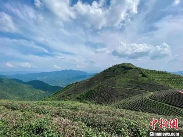 资料图： 浙江丽水缙云的蓝天白云与隐隐青山 项菁 摄