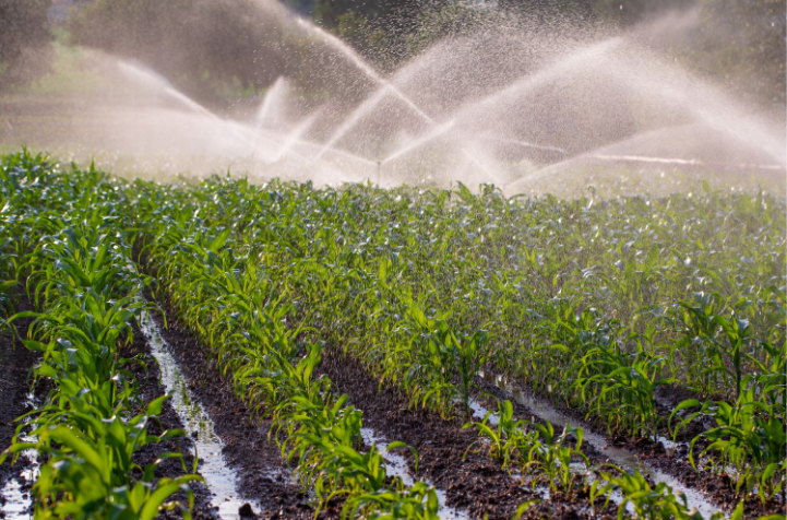 新的水费上涨对农民的影响?