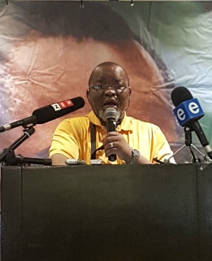 ANC secretary general Gwede Mantashe addresses Western Cape ANC delegates. (Paul Herman/News24)