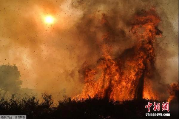 美国加州山火面积持续扩大数万居民撤离。