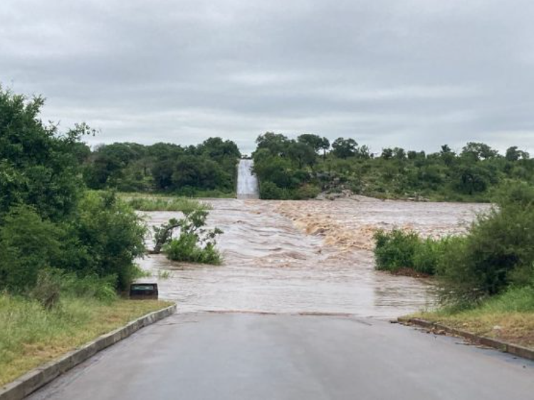 南非北部暴雨，克鲁格国家公园的道路被淹没 鳄鱼桥关闭