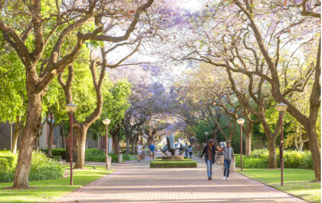 这6所南非大学跻身世界大学500强