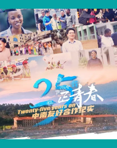 《25载正青春——中南友好合作纪实》纪录片在线观看